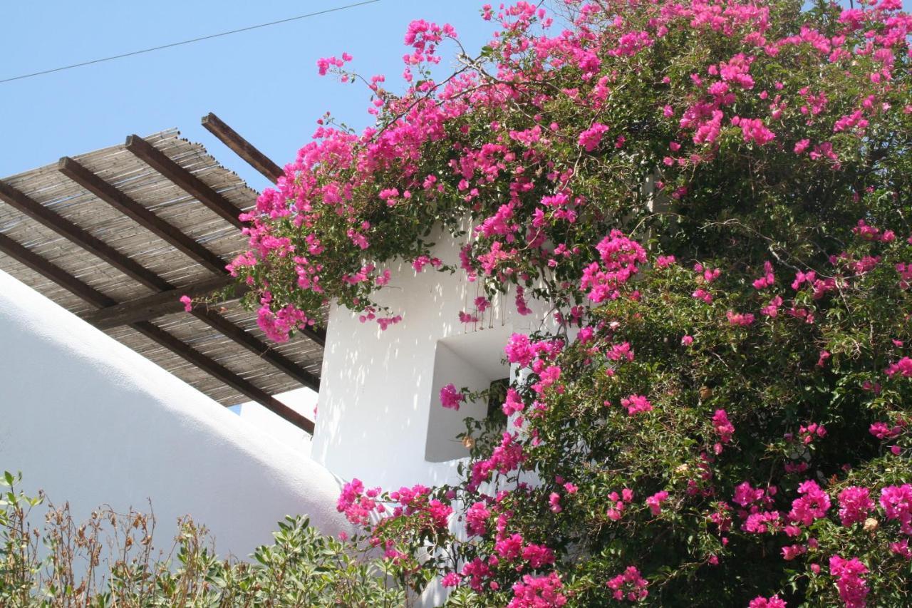 Petra Holiday Village Chora  Exterior foto